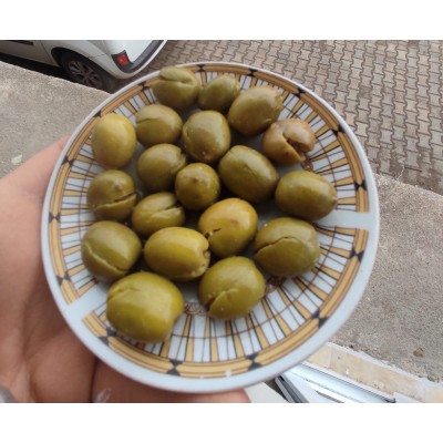 Halhalı Zeytin El Kırması 5kg PET